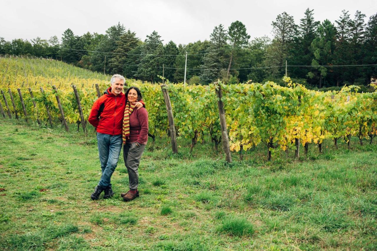 Podere Orto Wine Country House Trevinano Экстерьер фото