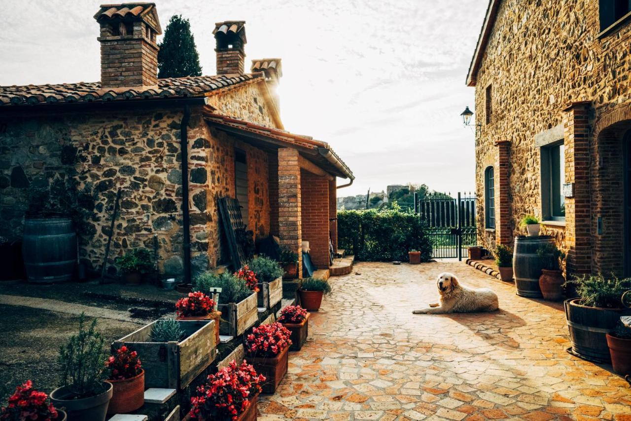 Podere Orto Wine Country House Trevinano Экстерьер фото