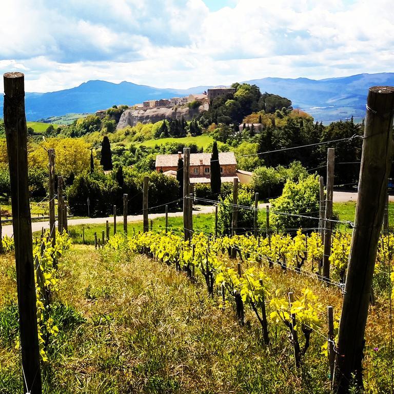 Podere Orto Wine Country House Trevinano Экстерьер фото