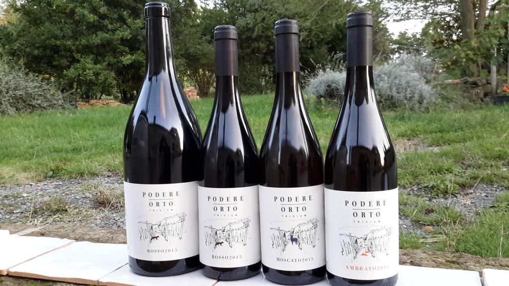 Podere Orto Wine Country House Trevinano Экстерьер фото